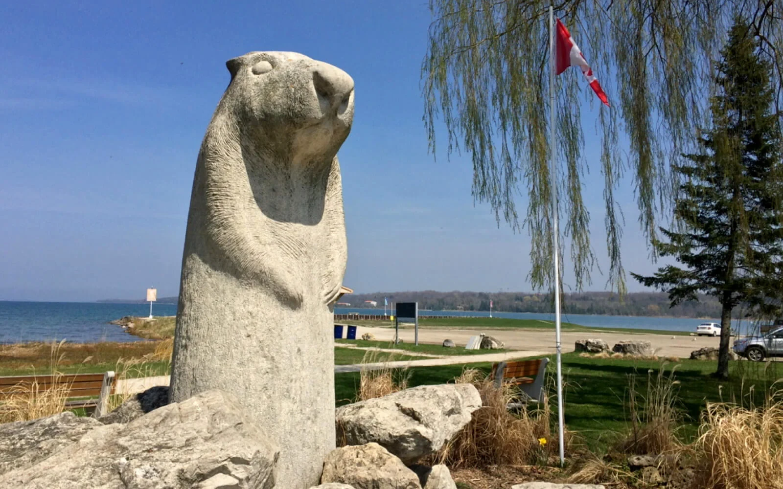 Wiarton Willie statue and waterfront view at Bluewater Park