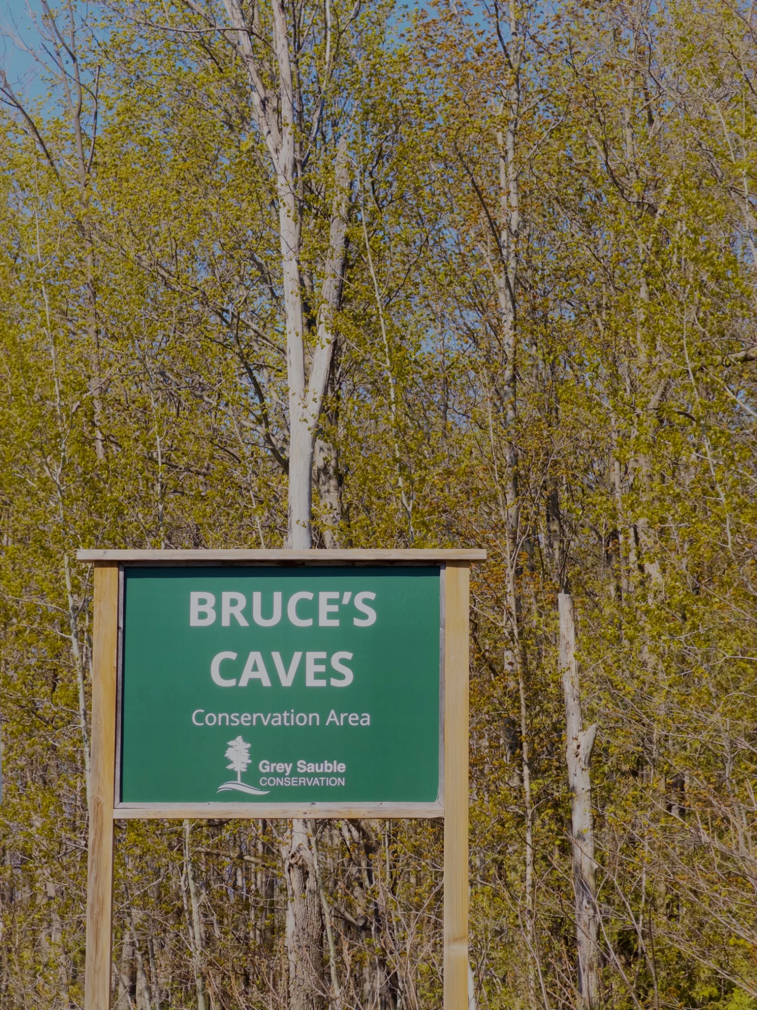Bruce’s Caves Conservation Area sign