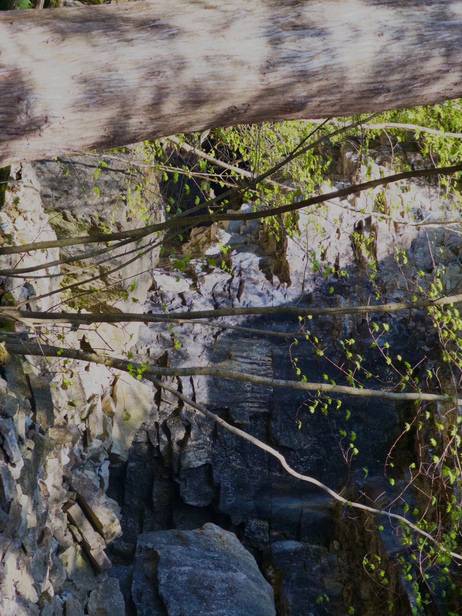 Rock formation near Bruce’s Caves